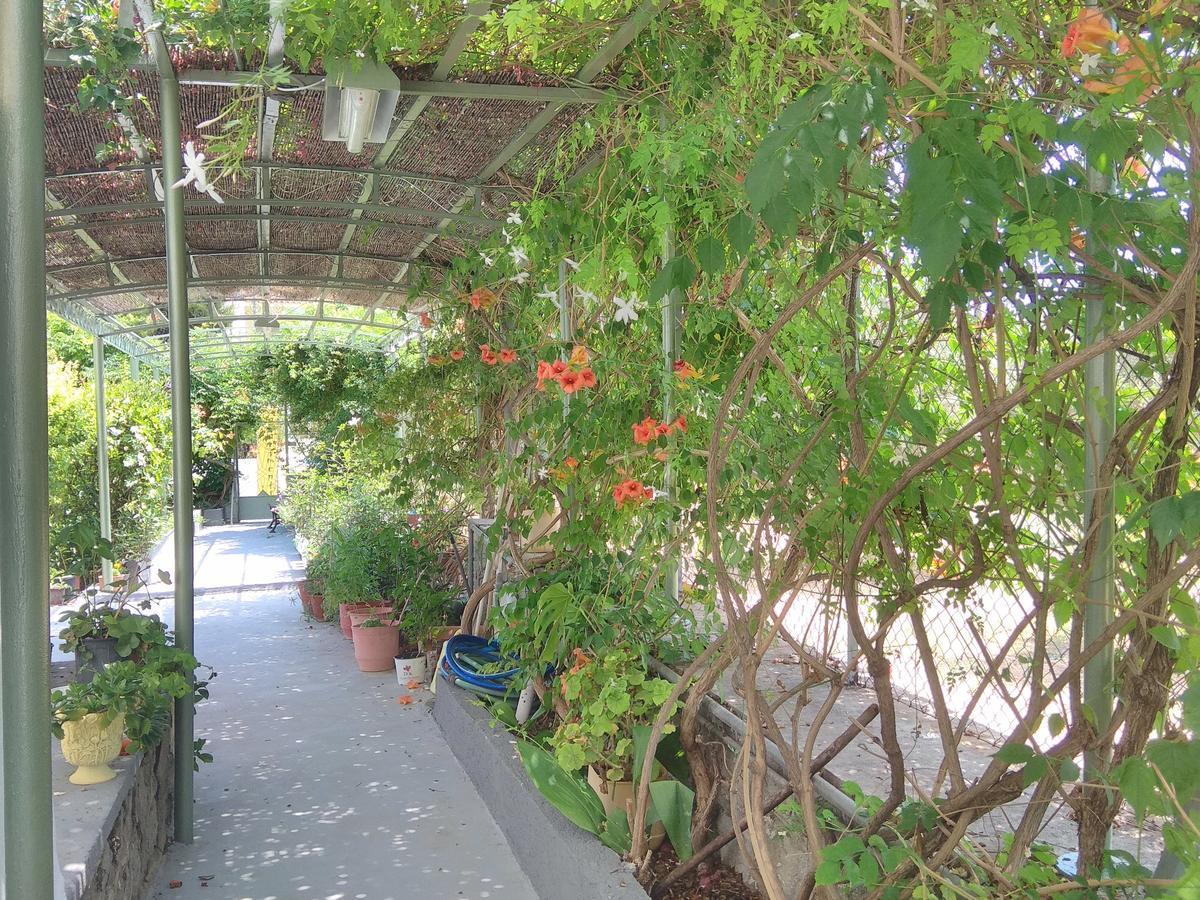Finikas Rooms Agia Marina  Bagian luar foto